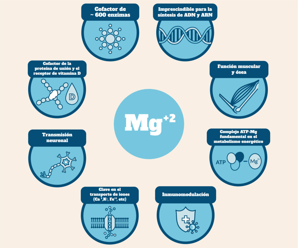 magnesio propiedades
